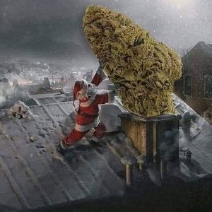 Meet your Posher, Adrian